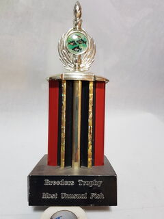 Breeders Trophy - Most Unusual Fish Breed